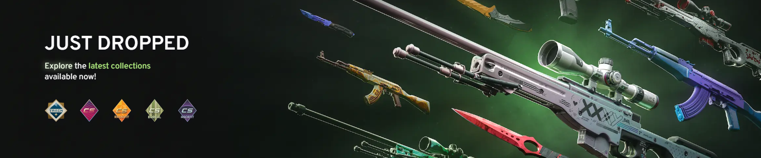 CS2 Hero Banner